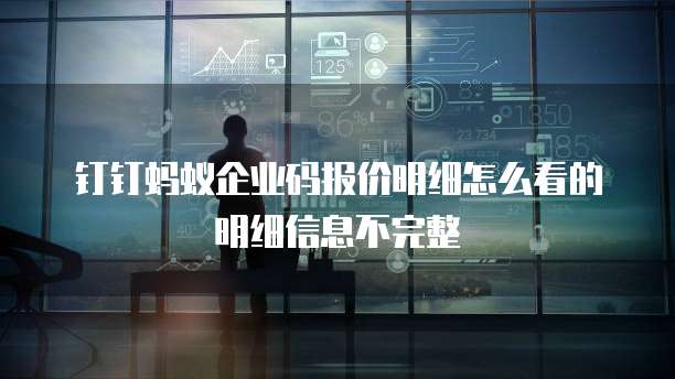 钉钉蚂蚁企业码报价明细怎么看的明细信息不完整