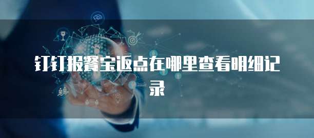 钉钉报餐宝返点在哪里查看明细记录