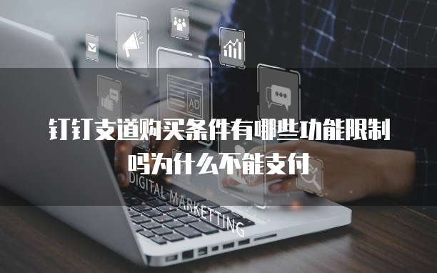 钉钉支道购买条件有哪些功能限制吗为什么不能支付