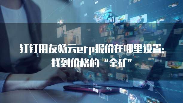 钉钉用友畅云erp报价在哪里设置：找到价格的&ldquo;金矿&rdquo;