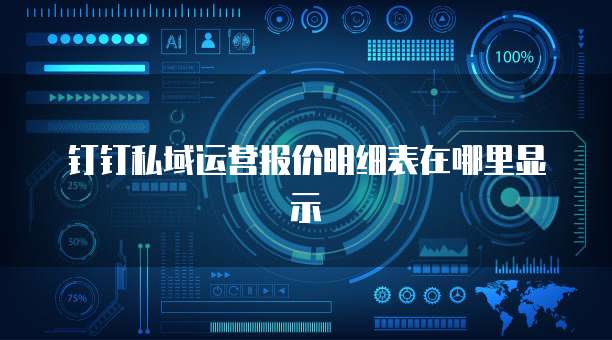 钉钉私域运营报价明细表在哪里显示