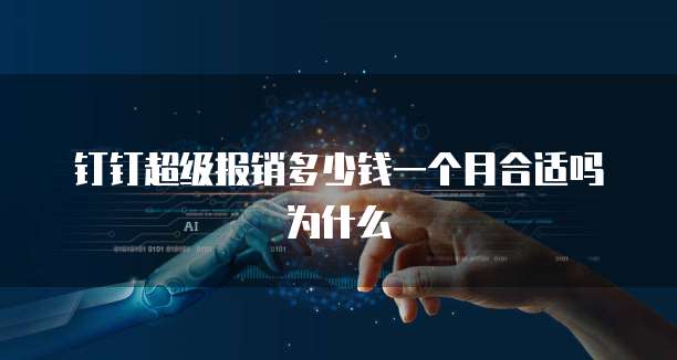 钉钉超级报销多少钱一个月合适吗为什么