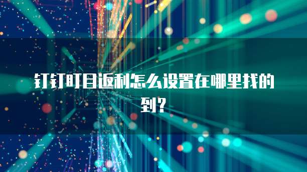 钉钉盯目返利怎么设置在哪里找的到？