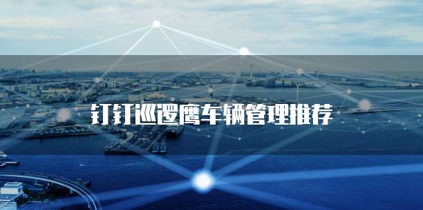 钉钉巡逻鹰车辆管理推荐