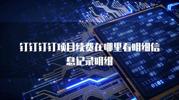 钉钉钉钉项目续费在哪里看明细信息记录明细
