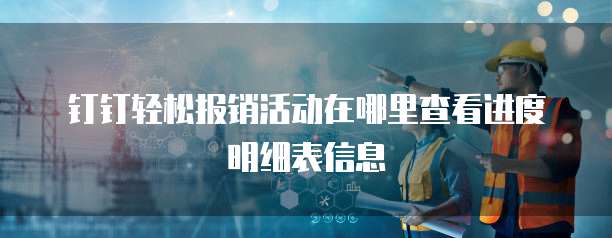 钉钉轻松报销活动在哪里查看进度明细表信息