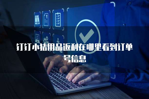 钉钉小猪用品返利在哪里看到订单号信息