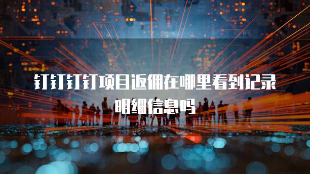 钉钉钉钉项目返佣在哪里看到记录明细信息吗