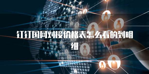 钉钉国网对接价格表怎么看的到明细