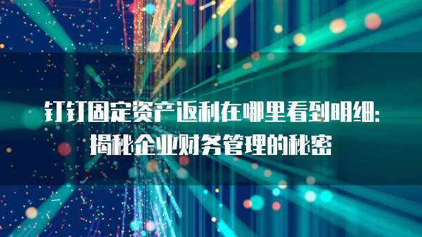 钉钉固定资产返利在哪里看到明细:揭秘企业财务管理的秘密