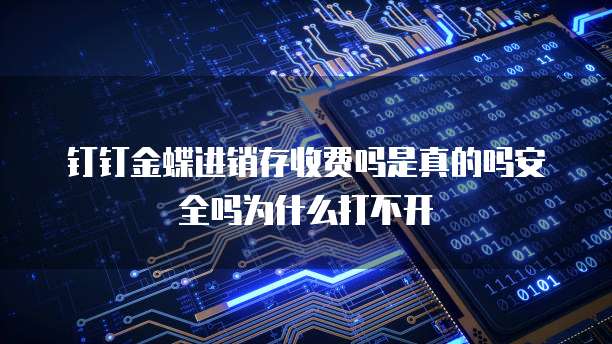 钉钉金蝶进销存收费吗是真的吗安全吗为什么打不开