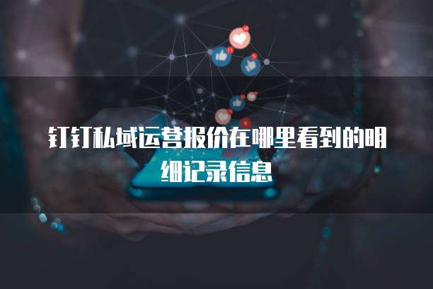钉钉私域运营报价在哪里看到的明细记录信息