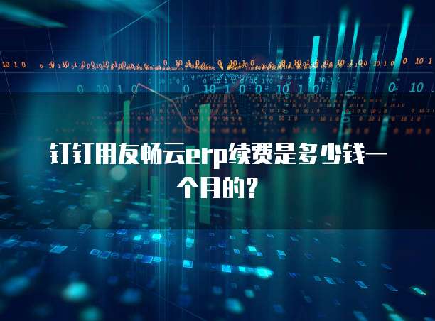 钉钉用友畅云ERP续费是多少钱一个月的？