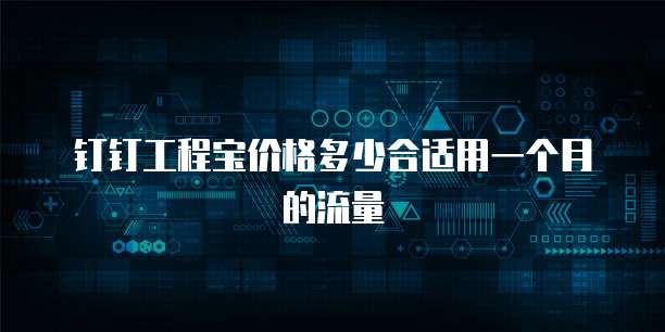 钉钉工程宝价格多少合适用一个月的流量