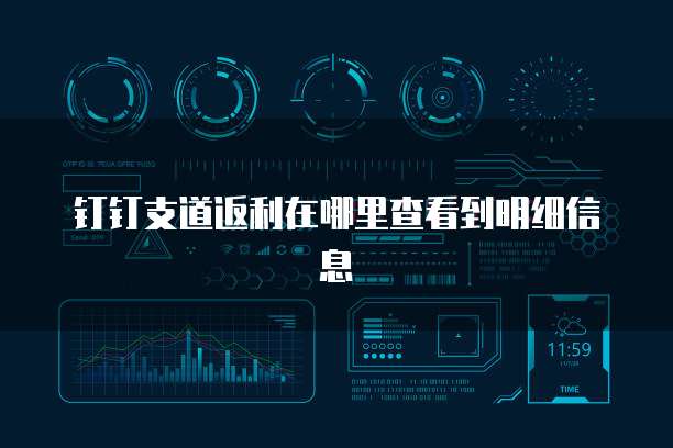 钉钉支道返利在哪里查看到明细信息