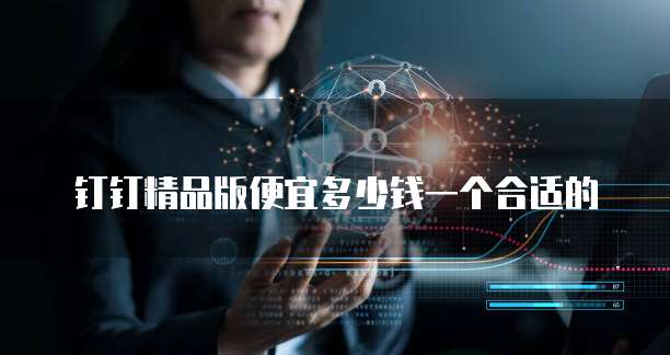 钉钉精品版便宜多少钱一个合适的