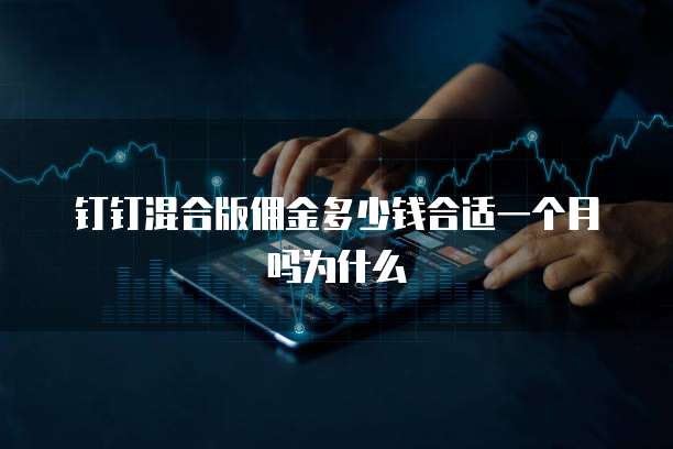 钉钉混合版佣金多少钱合适一个月吗为什么