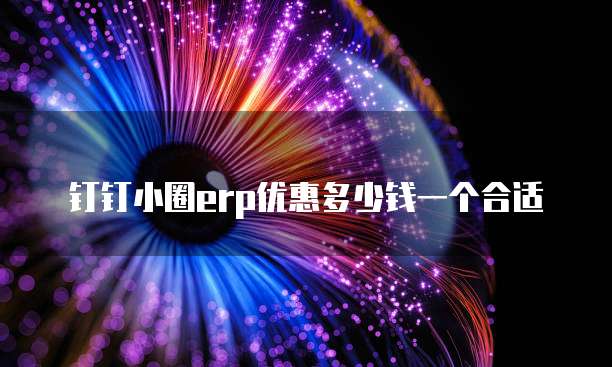 钉钉小圈erp优惠多少钱一个合适