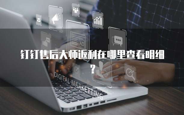 钉钉售后大师返利在哪里查看明细？