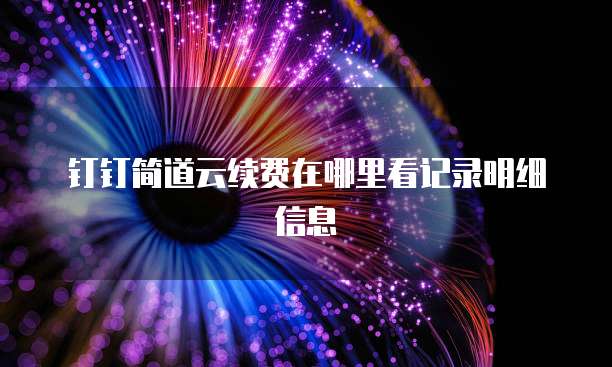 钉钉简道云续费在哪里看记录明细信息