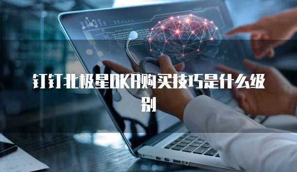 钉钉北极星OKR购买技巧是什么级别