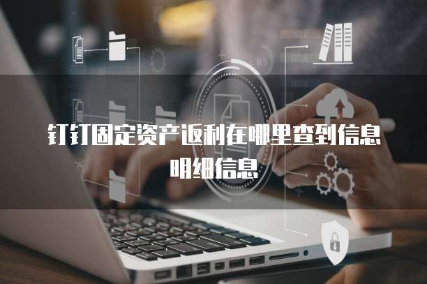 钉钉固定资产返利在哪里查到信息明细信息