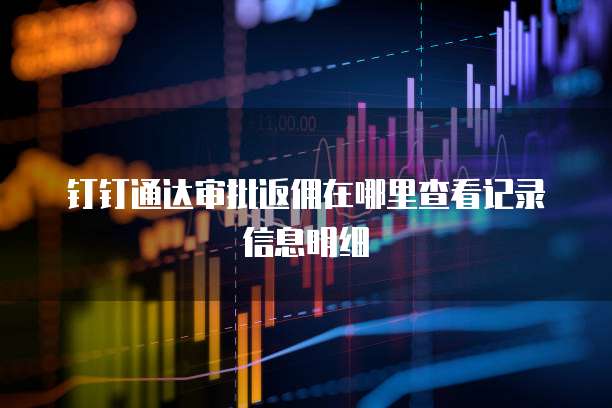 钉钉通达审批返佣在哪里查看记录信息明细