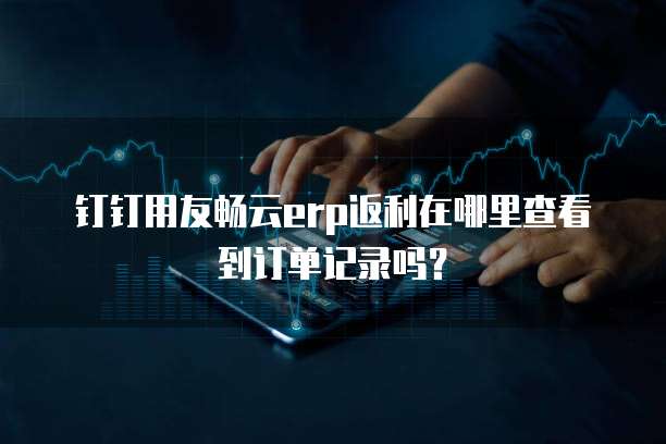 钉钉用友畅云erp返利在哪里查看到订单记录吗?