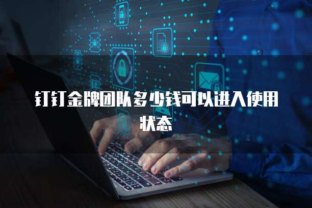 钉钉金牌团队多少钱可以进入使用状态