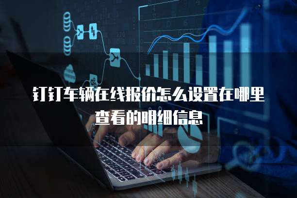 钉钉车辆在线报价怎么设置在哪里查看的明细信息