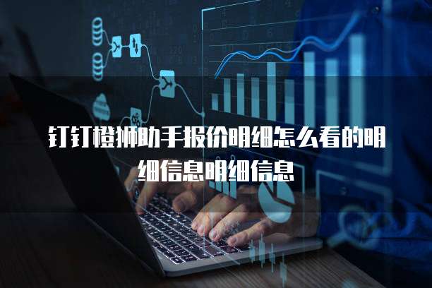 钉钉橙狮助手报价明细怎么看的明细信息明细信息