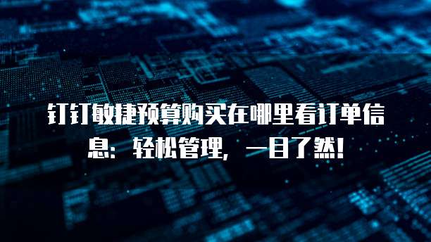 钉钉敏捷预算购买在哪里看订单信息:轻松管理,一目了然!