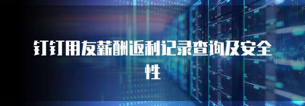钉钉用友薪酬返利记录查询及安全性