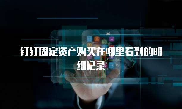 钉钉固定资产购买在哪里看到的明细记录