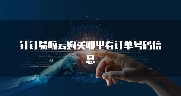 钉钉易鲸云购买哪里看订单号码信息