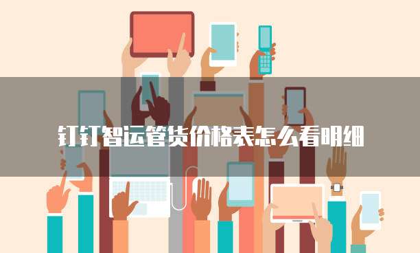 钉钉智运管货价格表怎么看明细