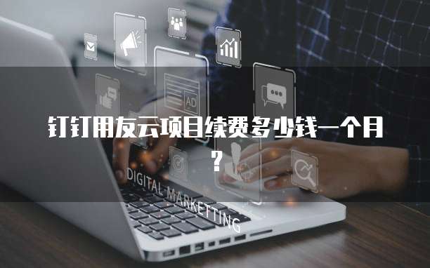 钉钉用友云项目续费多少钱一个月？