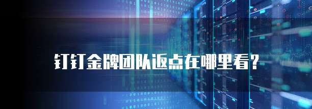 钉钉金牌团队返点在哪里看?