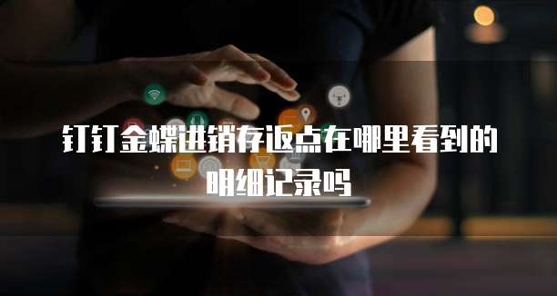 钉钉金蝶进销存返点在哪里看到的明细记录吗