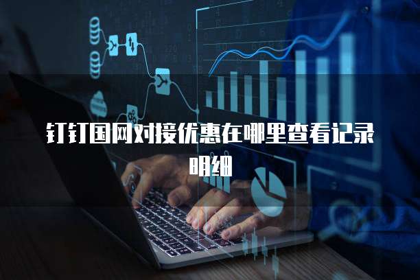 钉钉国网对接优惠在哪里查看记录明细