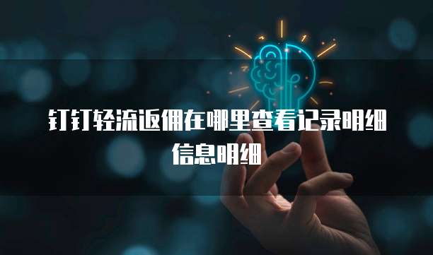 钉钉轻流返佣在哪里查看记录明细信息明细