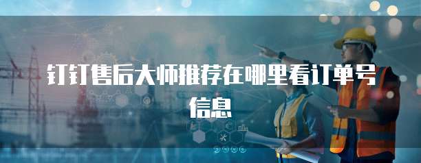 钉钉售后大师推荐在哪里看订单号信息