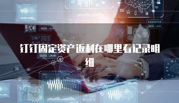 钉钉固定资产返利在哪里看记录明细