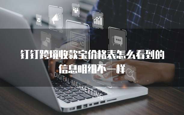 钉钉跨境收款宝价格表怎么看到的信息明细不一样