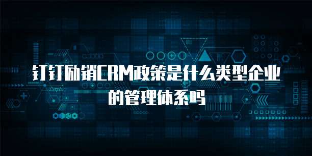 钉钉励销CRM政策是什么类型企业的管理体系吗