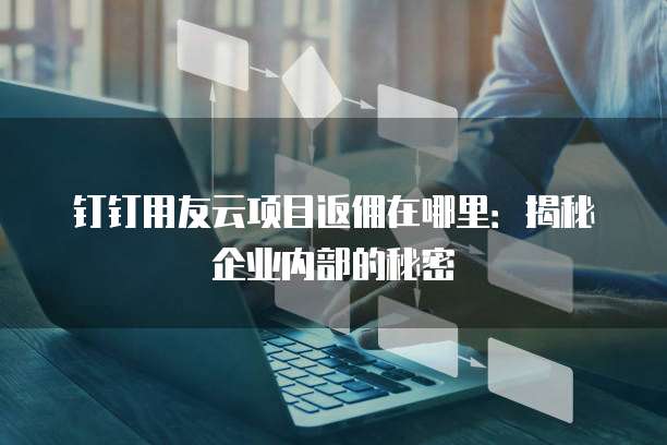 钉钉用友云项目返佣在哪里：揭秘企业内部的秘密