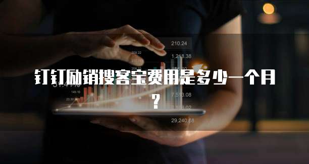 钉钉励销搜客宝费用是多少一个月？