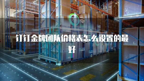 钉钉金牌团队价格表怎么设置的最好