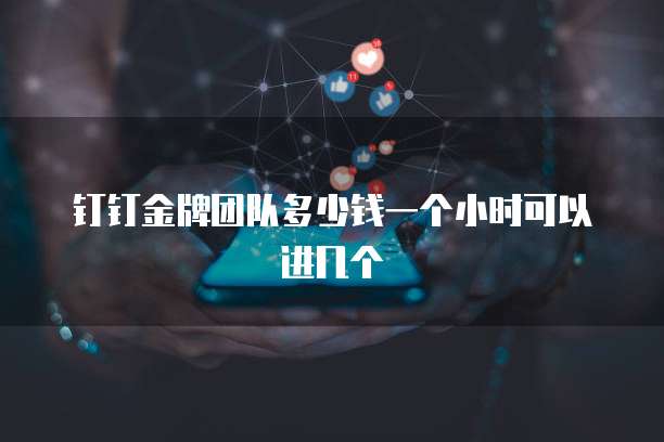 钉钉金牌团队多少钱一个小时可以进几个