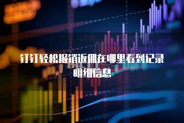 钉钉轻松报销返佣在哪里看到记录明细信息